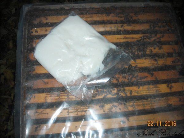 nylon trasparente candito.jpg