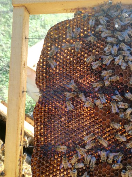 WhatsApp Image 2018-03-09 at 15.44.32.jpeg