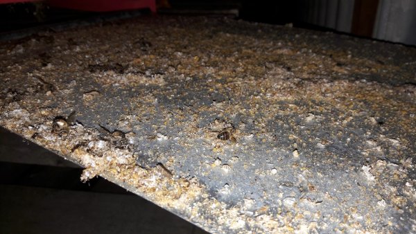 20190907_201139 (Large).jpg