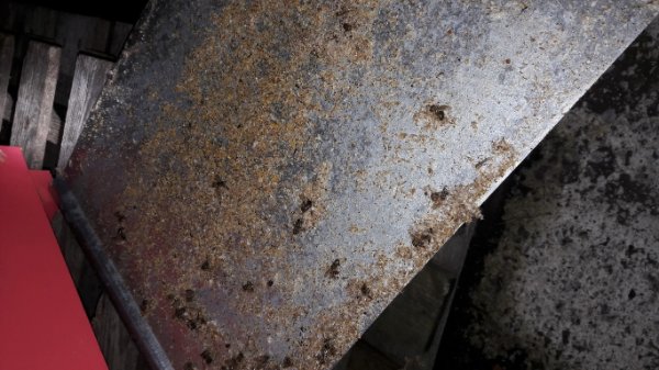 20190907_200944 (Medium).jpg