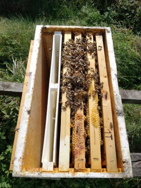 nutritore a tasca.jpg