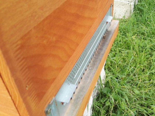 Predellino annerito.jpg