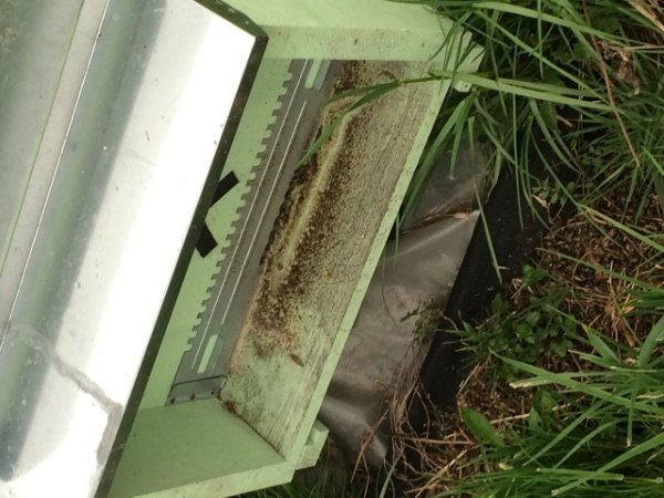 Macchia sul predellino.jpg