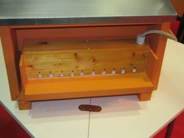 Arnia Informatizzata.jpg