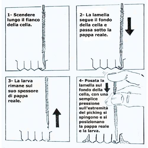 uso del picking.jpg